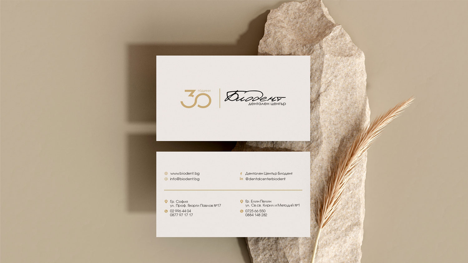 Project-Biodent-Memotion.net-Business-Cards-2 svg+xml;charset=utf